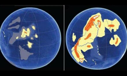 Le rocce primitive raccontano la storia della Terra