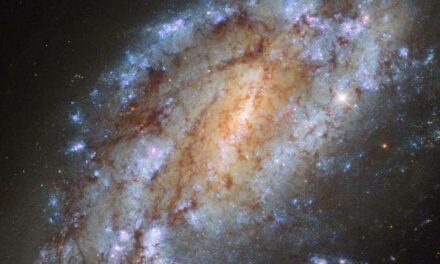Lo sprint di Ngc 1559 nel mirino di Hubble