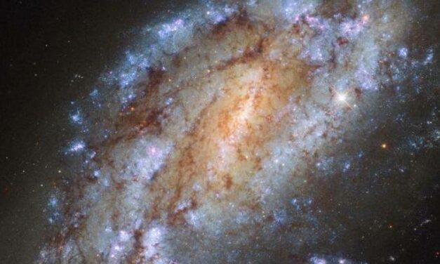 Lo sprint di Ngc 1559 nel mirino di Hubble