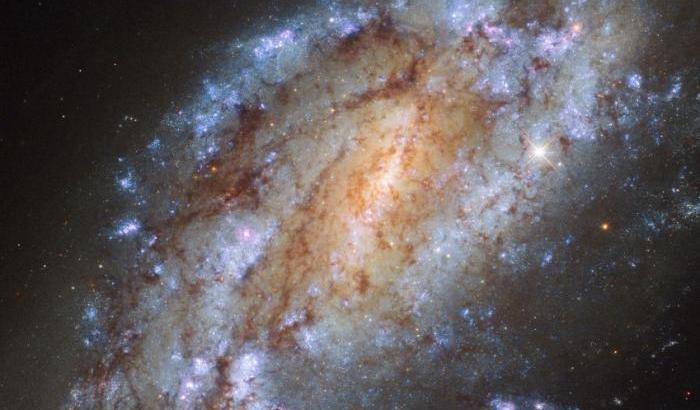 Lo sprint di Ngc 1559 nel mirino di Hubble