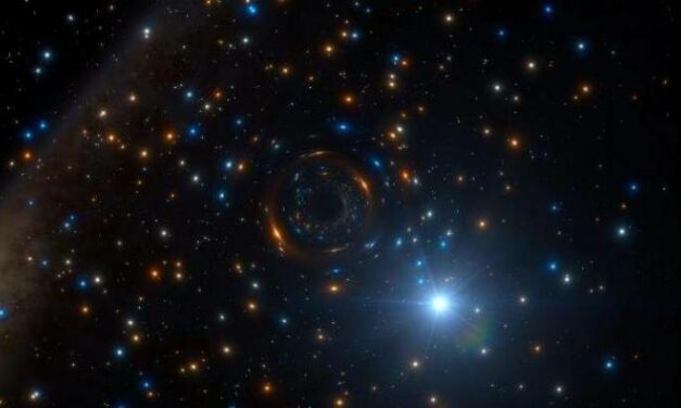 Lo strano caso della stella in orbita attorno a un buco nero