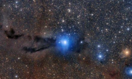 Lupus 3, nebulosa dark dal cuore brillante