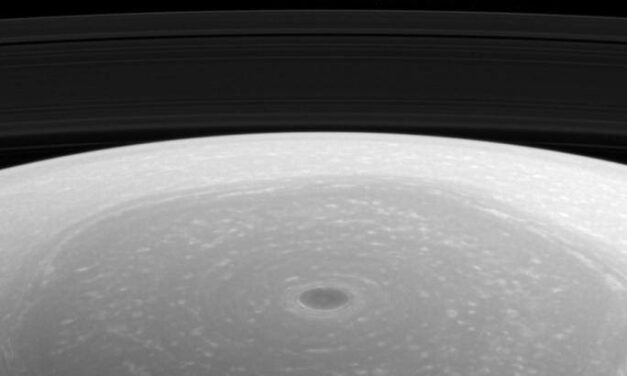 Saturno, luce sul polo nord