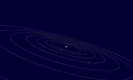 Sistemi planetari single e affollati