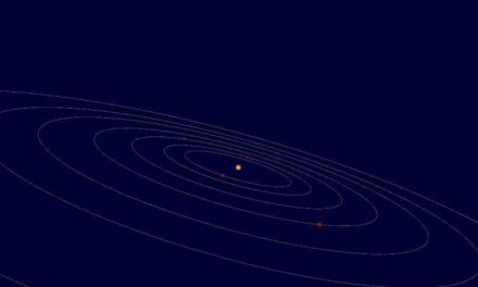 Sistemi planetari single e affollati