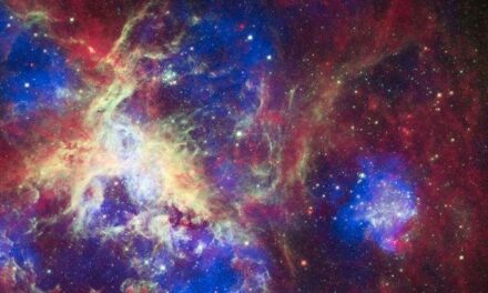 Stelle ‘extra large’ per la Nebulosa Tarantola