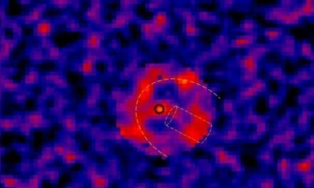 Supernova culla di pianeti