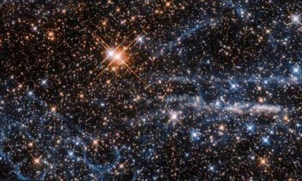 Un Favo e una Tarantola per Hubble