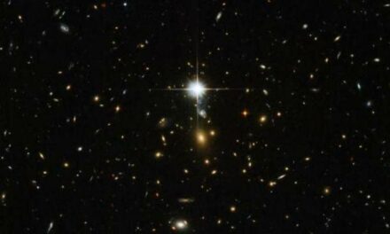 Un cluster massiccio per Hubble