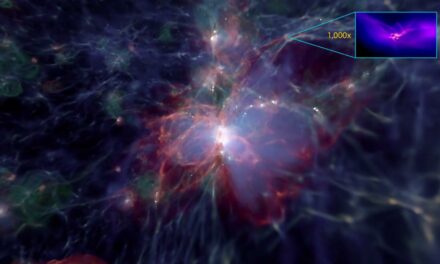 Nuova luce sulla nascita dei buchi neri primordiali