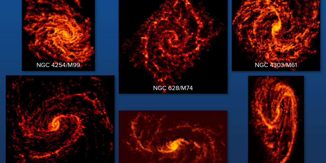 Nursery stellari senza segreti per Alma