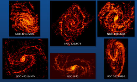 Nursery stellari senza segreti per Alma