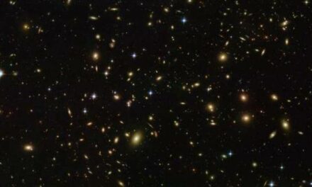 ‘Lucciole’ spaziali per Hubble