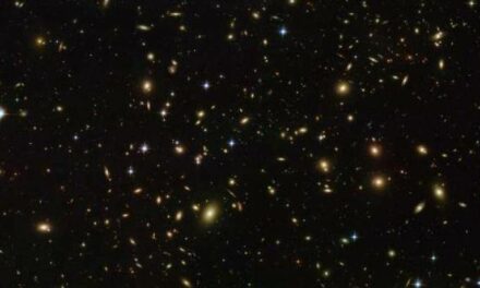 ‘Lucciole’ spaziali per Hubble