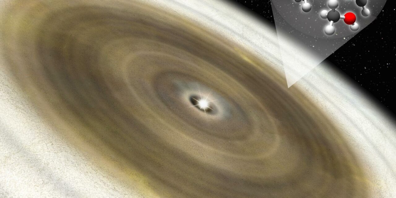 Alma, “firma” organica attorno a una giovane stella