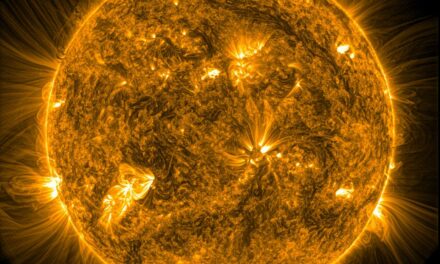 Onde magnetiche dal cuore del Sole