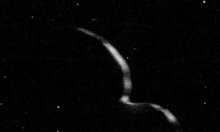 Ultima Thule, il commiato di New Horizons