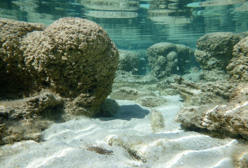 Ossigeno terrestre? È iniziato dal mare