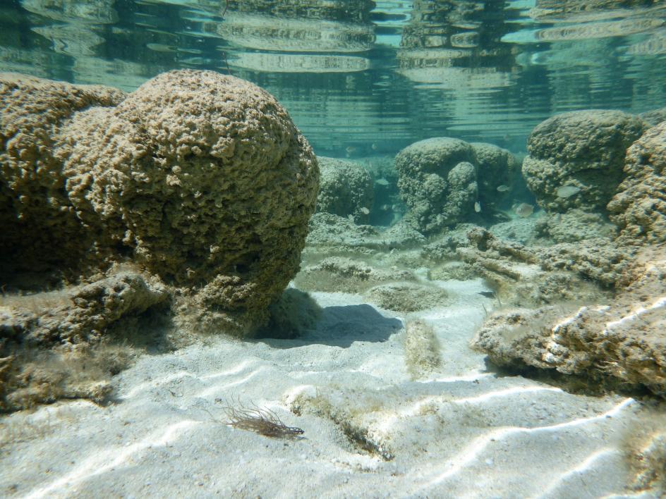 Ossigeno terrestre? È iniziato dal mare