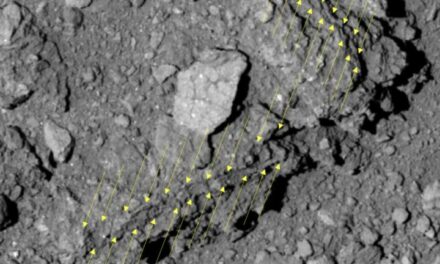 Hayabusa2, all’origine del Sistema Solare