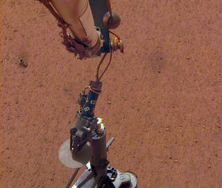 Insight: talpa al pit stop per due settimane