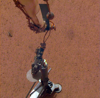 Insight: talpa al pit stop per due settimane