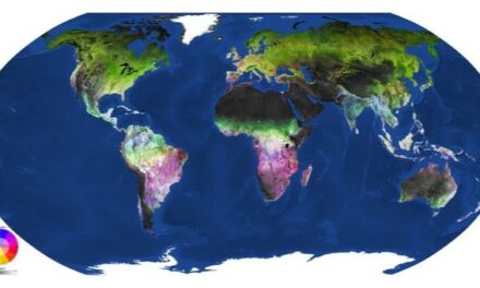 Vegetazione senza segreti per Sentinel-2