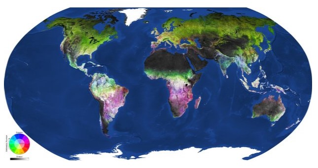 Vegetazione senza segreti per Sentinel-2