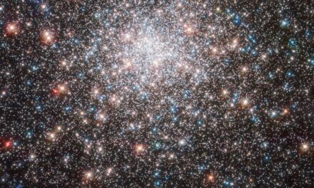 Cluster senza segreti per Hubble