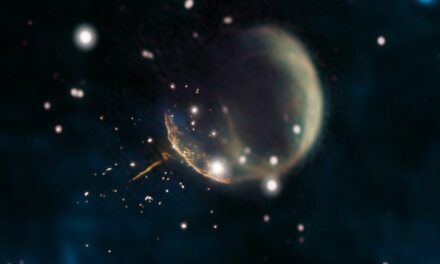 J0002, pulsar ‘velocista’ cronometrata da Fermi