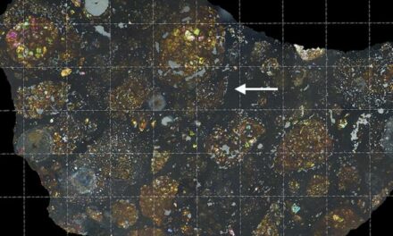 Frammenti di cometa nel cuore di un meteorite