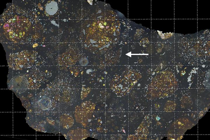 Frammenti di cometa nel cuore di un meteorite