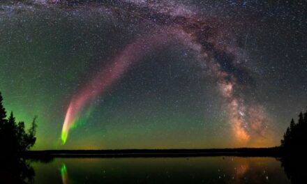 Steve, un’aurora boreale atipica