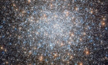 Un cluster ‘variegato’ per Hubble