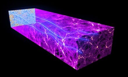Planck rivela le connessioni tra le galassie attive e la materia oscura