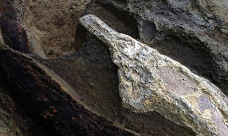 La firma dell'asteroide che ha spazzato via i dinosauri