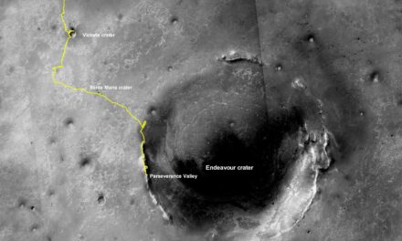 L’ultimo percorso di Oppy