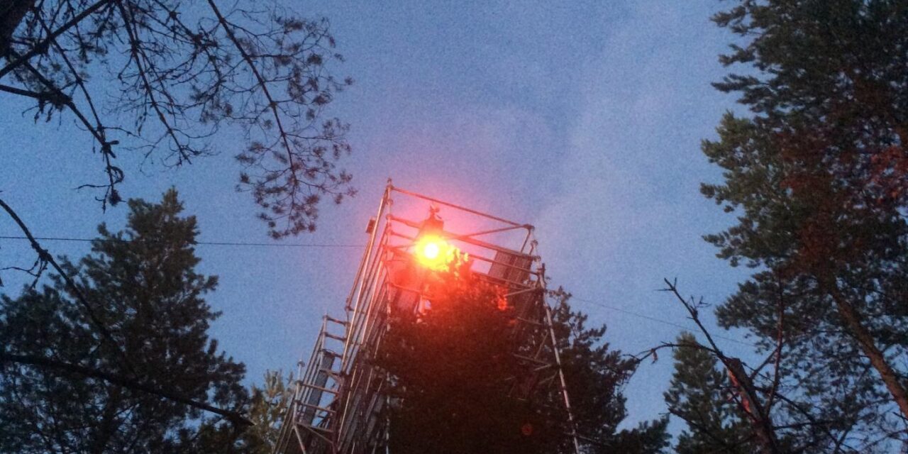 La fluorescenza della clorofilla al led