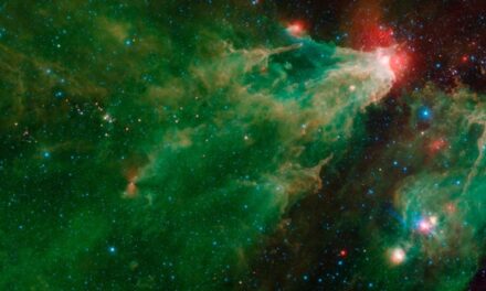 Stelle, nebulose e ammassi in posa per Spitzer