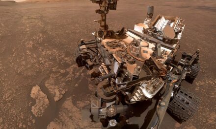 Curiosity, ‘minatore’ con la testa fra le nuvole