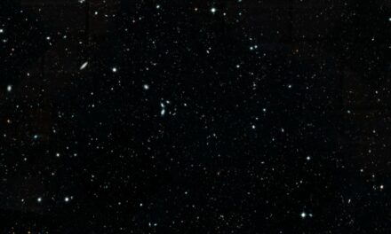 Hubble, ritratto collettivo per galassie