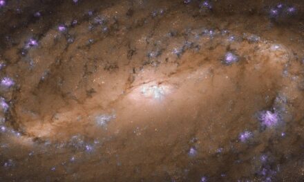 Una galassia superstar per Hubble