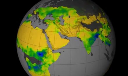 Radici antiche per i mutamenti climatici