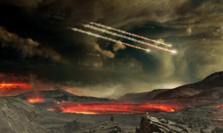 A caccia di segni di vita nelle meteoriti ‘velenose’
