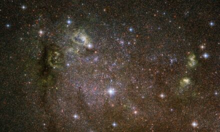 Una galassia atipica per Hubble