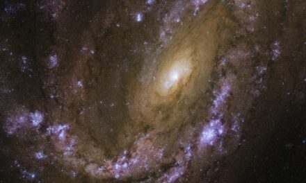 Una galassia ‘scoppiettante’ nel mirino di Hubble