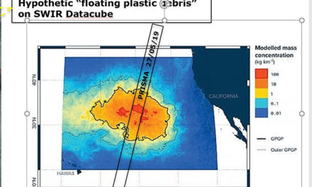 La (poco) visibile isola di plastica