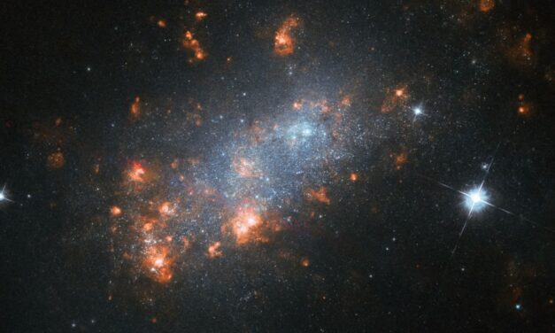 Una ‘fioritura’ galattica per Hubble