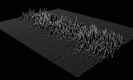 La pulsar post-punk dei Joy Division