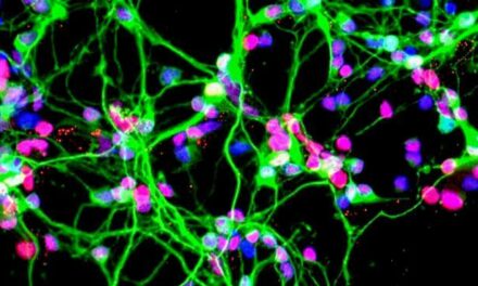 Malattie neurodegenerative, un aiuto dallo spazio